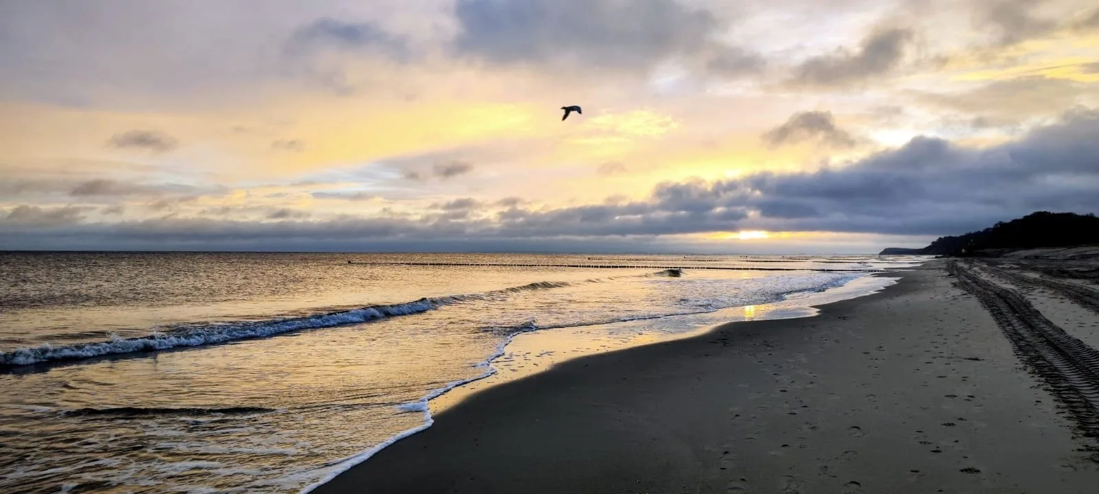 NEU: 2 Raum Wohnung 5Betten  Apartmenthaus-Usedom "Kajüte 2" mit Garten -  In 5  Minuten zu Fuß am Strand