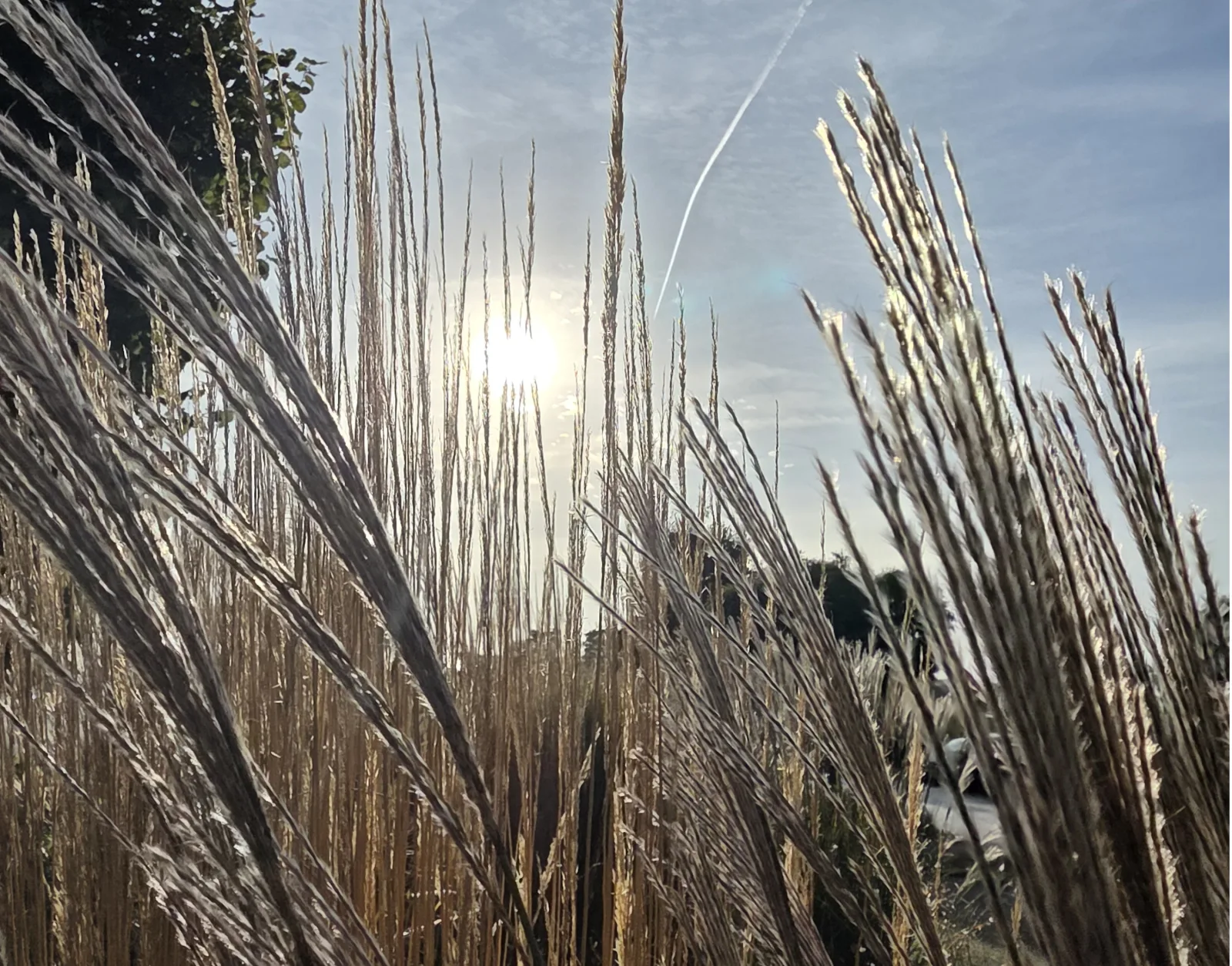 NEU: 2 Raum Wohnung 5Betten  Apartmenthaus-Usedom "Kajüte 2" mit Garten -  In 5  Minuten zu Fuß am Strand