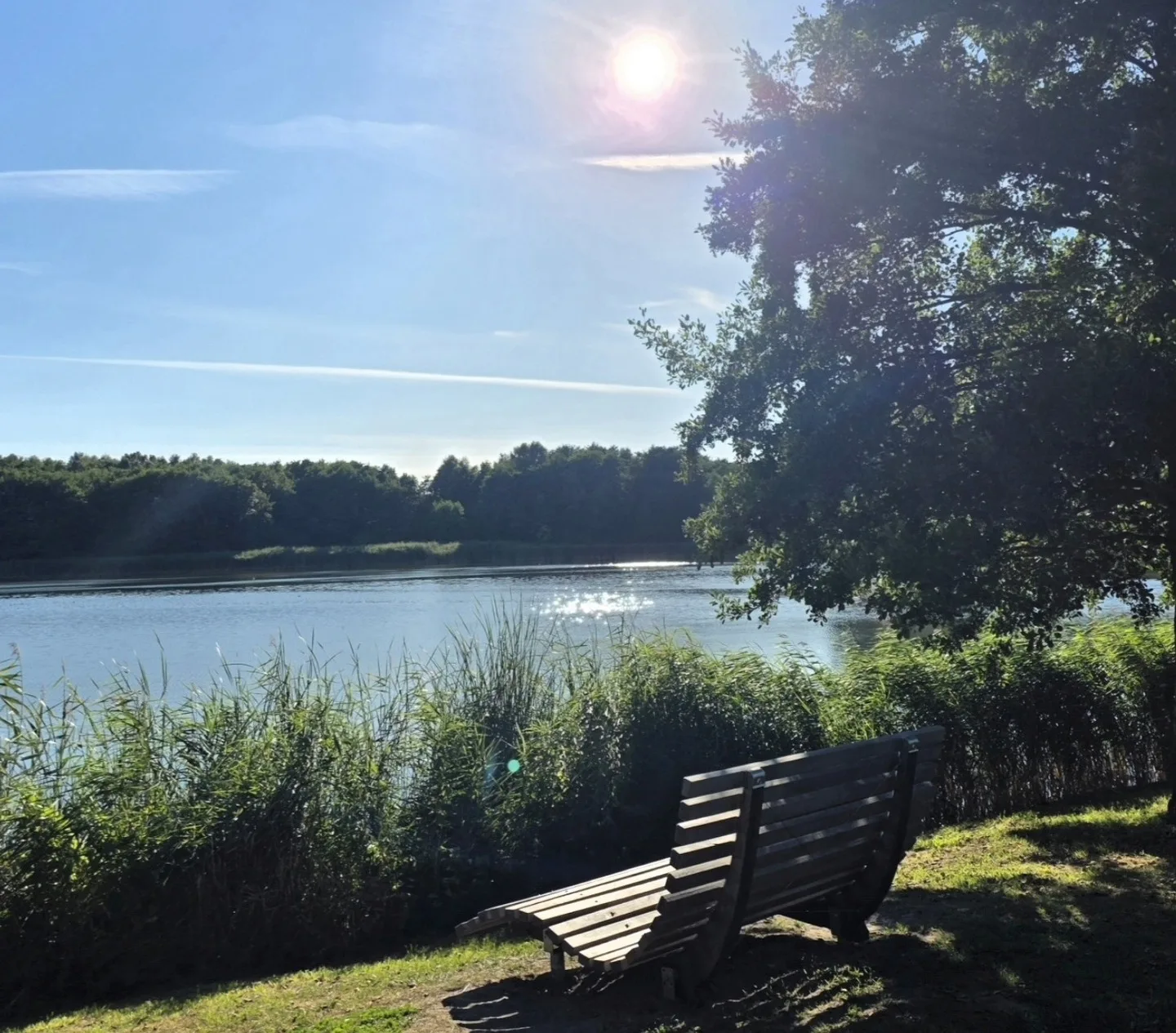  SELTEN: Wasserblick Kölpinsee - Apartmenthaus-Usedom Familie Stopp Kajüte 8 -Balkon + strandnah