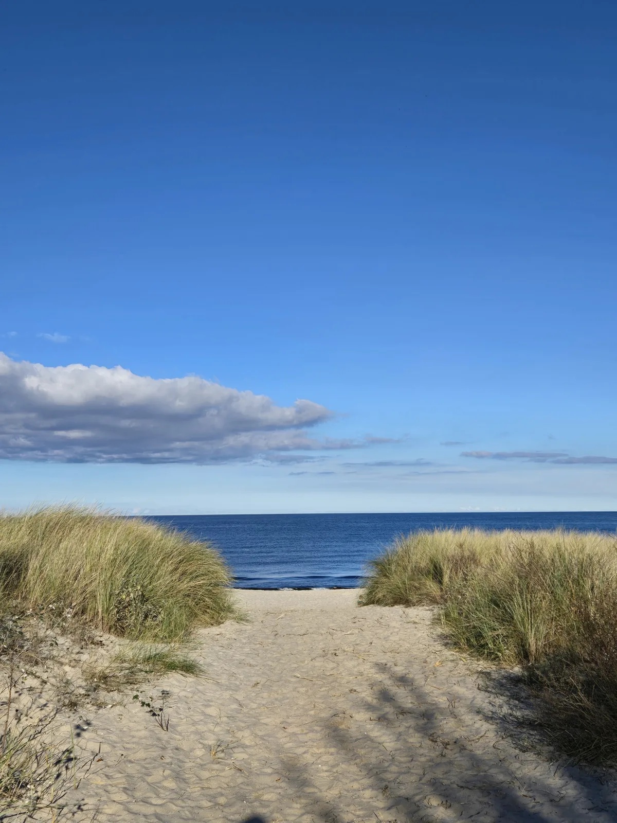 SELTEN: Wasserblick Kölpinsee  - Tolle Ferienwohnung unter 500m zur Ostsee Kajüte 12