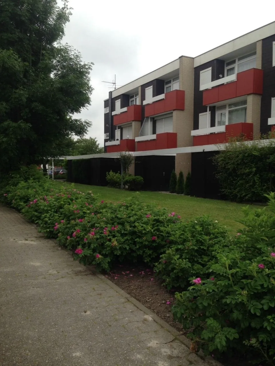 Wohnung 24