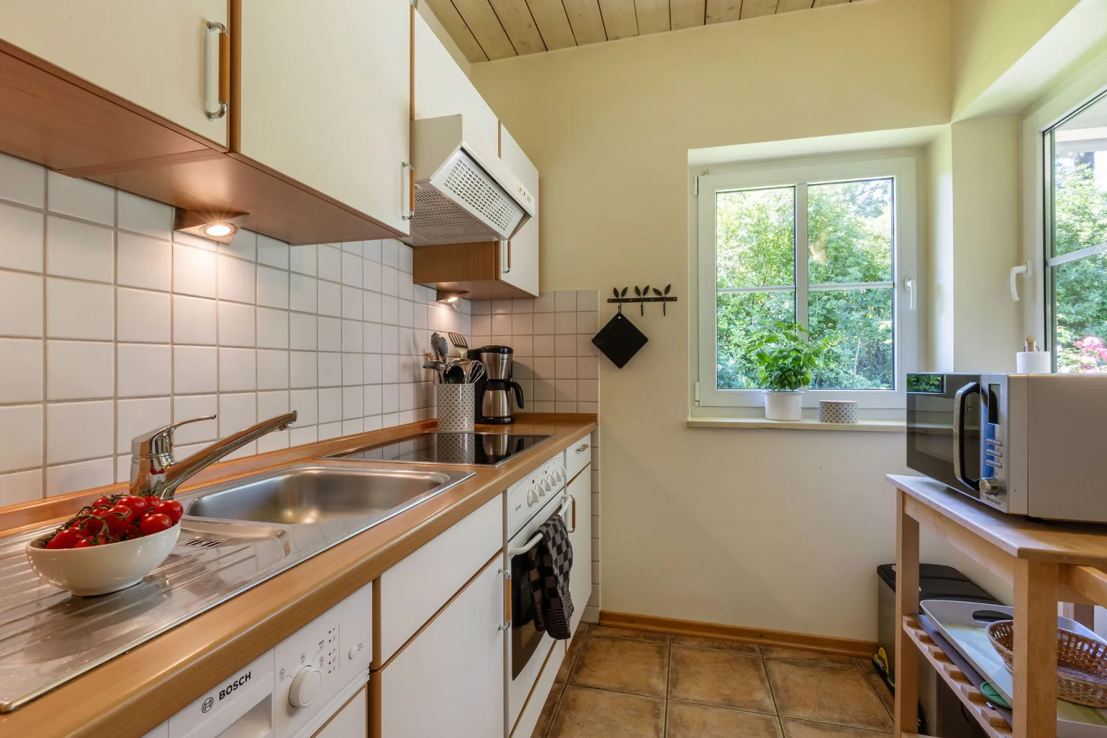 Ferienhaus 1