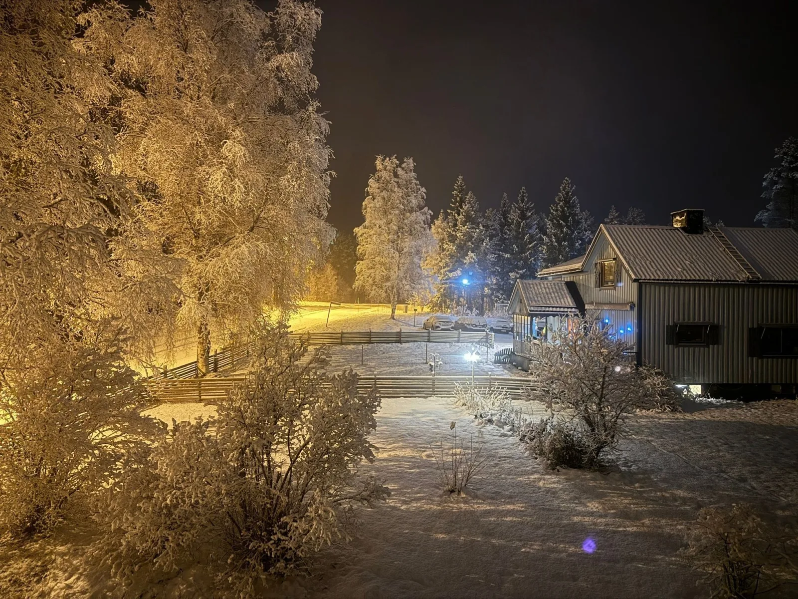 Little Sven#s House