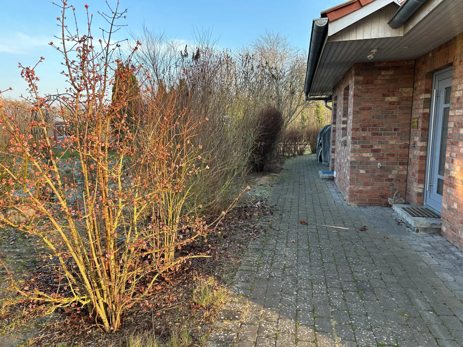 Ferienhaus Tutsch Ostblick