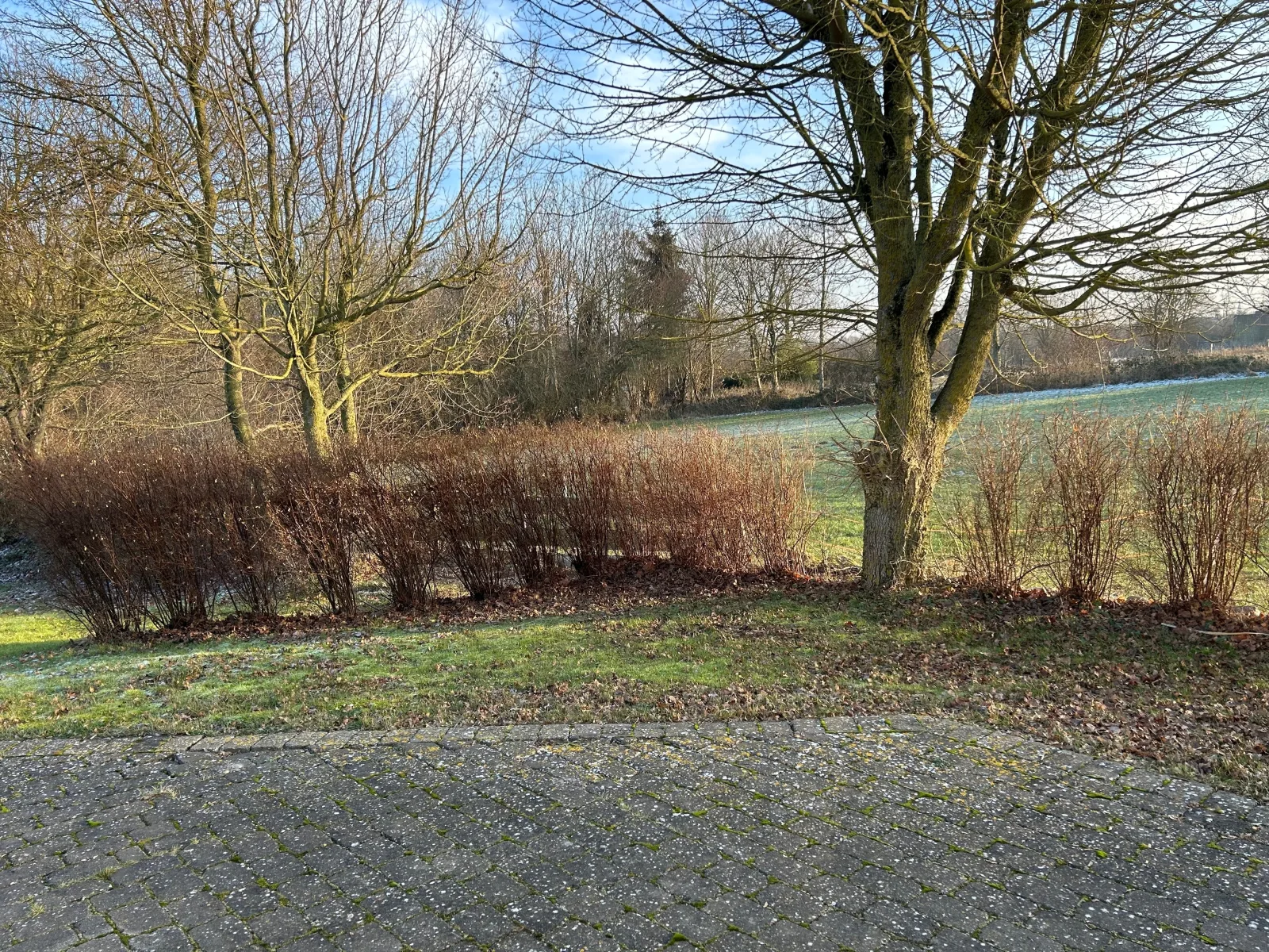Ferienhaus Tutsch Ostblick