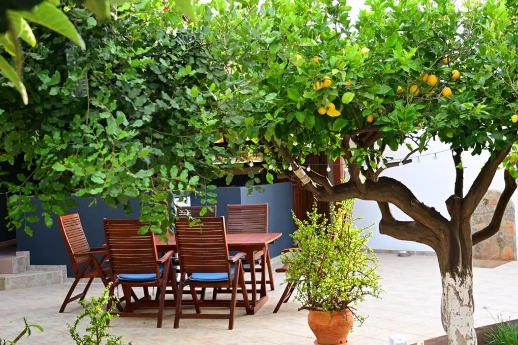 Paralia Apts Stavros Apartment 2