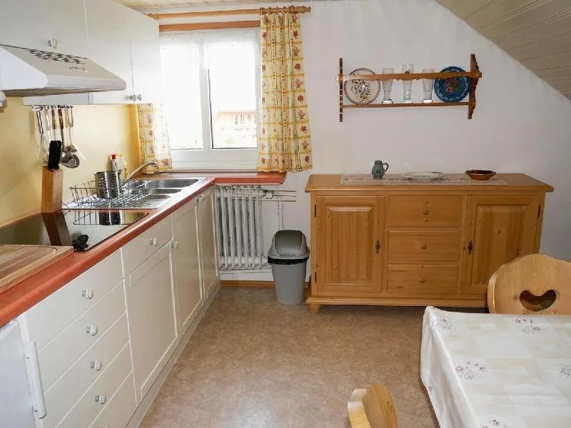 FW1 Große Ferien- Wohnung im Gästehaus Lickert Oberzarten AP1