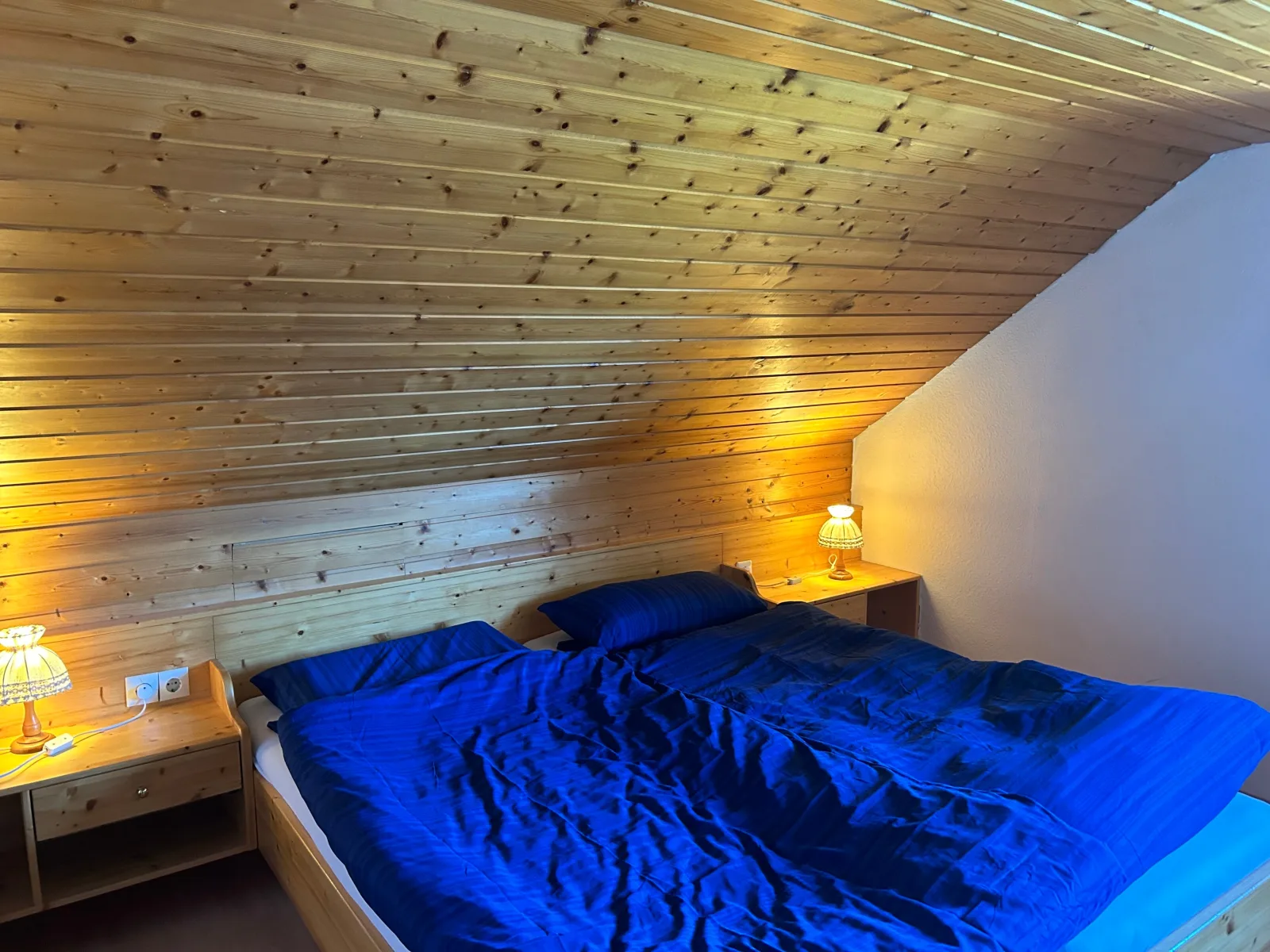 FW1 Große Ferien- Wohnung im Gästehaus Lickert Oberzarten AP1