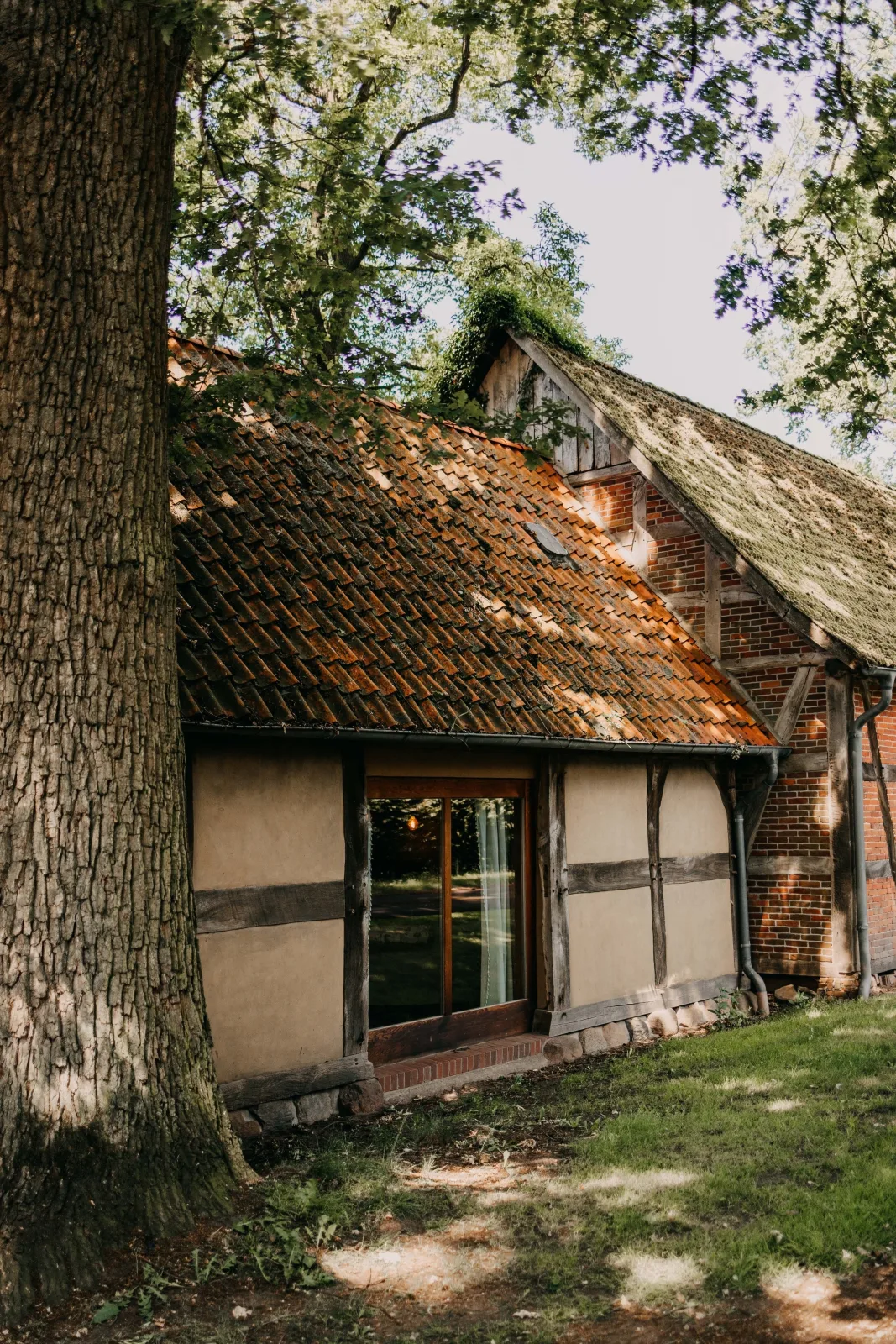 Wellness-Auszeit für 2 im Dümmer-Weserland in außergewöhnlichem Ferienhaus inklusive privatem Saunahaus