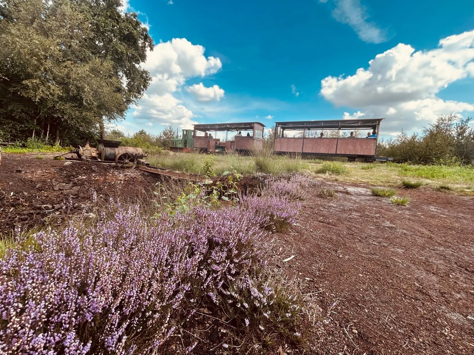 Wellness-Auszeit für 2 im Dümmer-Weserland in außergewöhnlichem Ferienhaus inklusive privatem Saunahaus