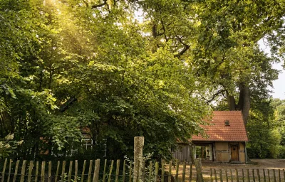 Wellness-Auszeit für 2 im Dümmer-Weserland in außergewöhnlichem Ferienhaus inklusive privatem Saunahaus