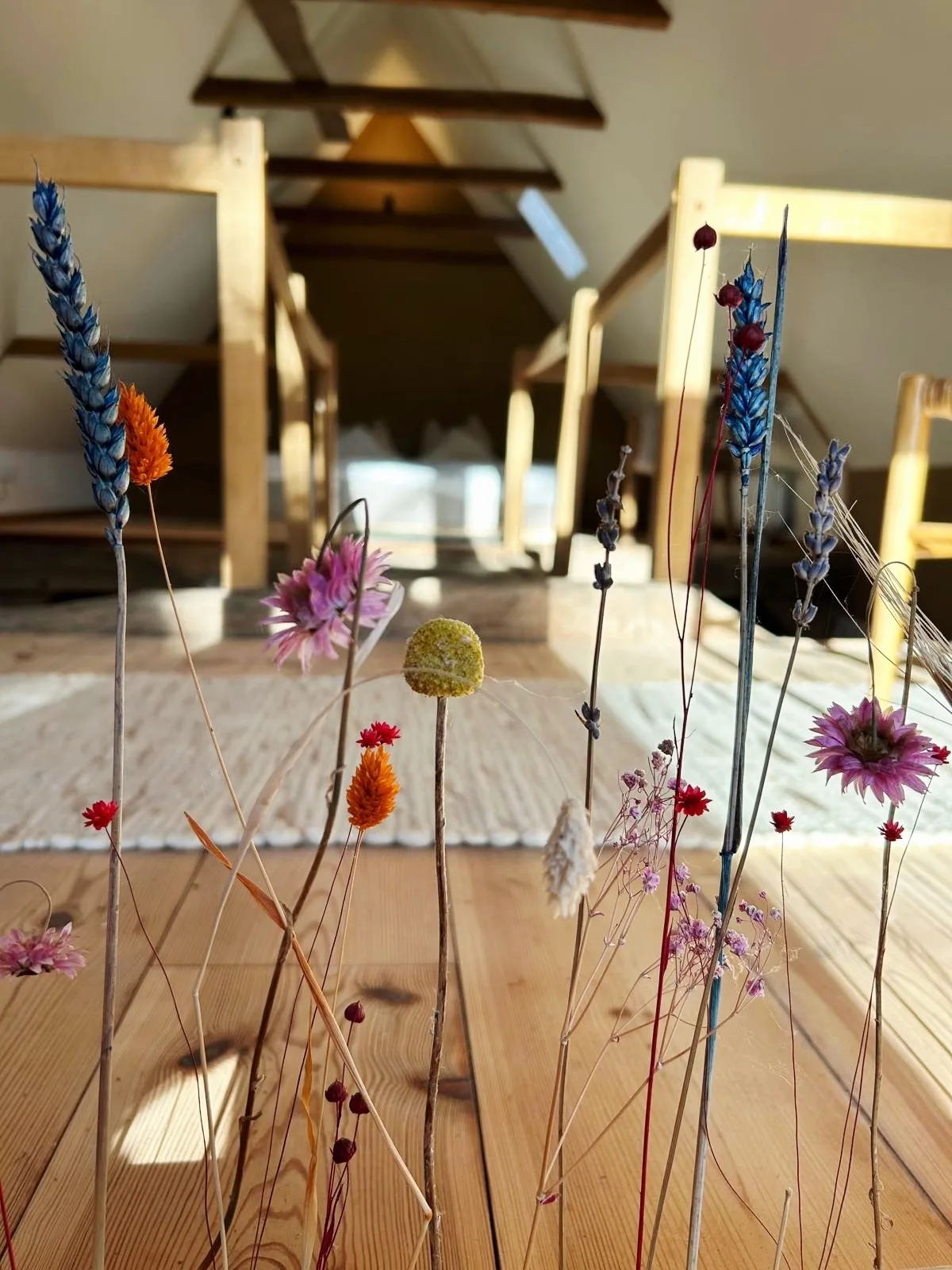 Wellness-Auszeit für 2 im Dümmer-Weserland in außergewöhnlichem Ferienhaus inklusive privatem Saunahaus