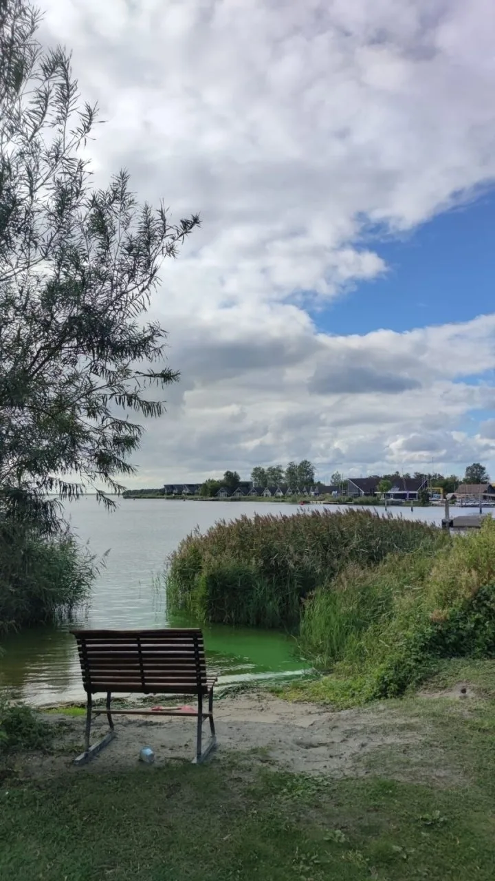 Mobilheim Herz Lauwersoog - Chalet Pampusplaat 03