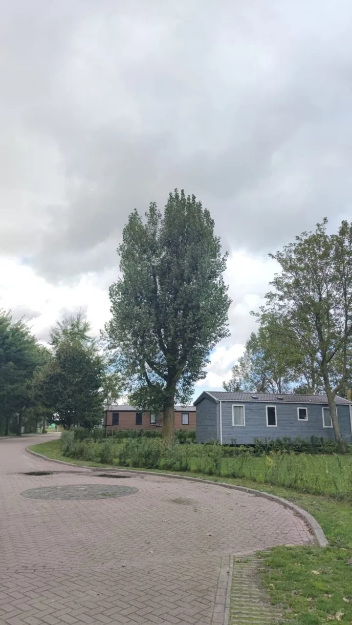 Mobilheim Herz Lauwersoog - Chalet Pampusplaat 03