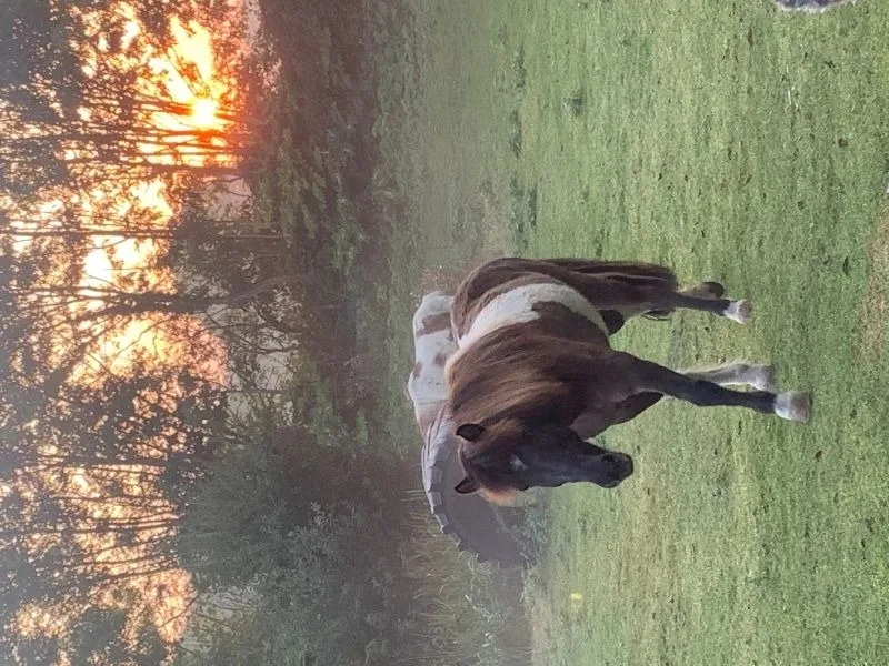 501 Meerzeit