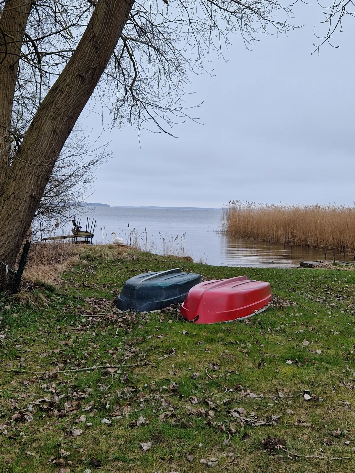 Schwedenhaus, Am Achterwasser, Urlaub mit Hund