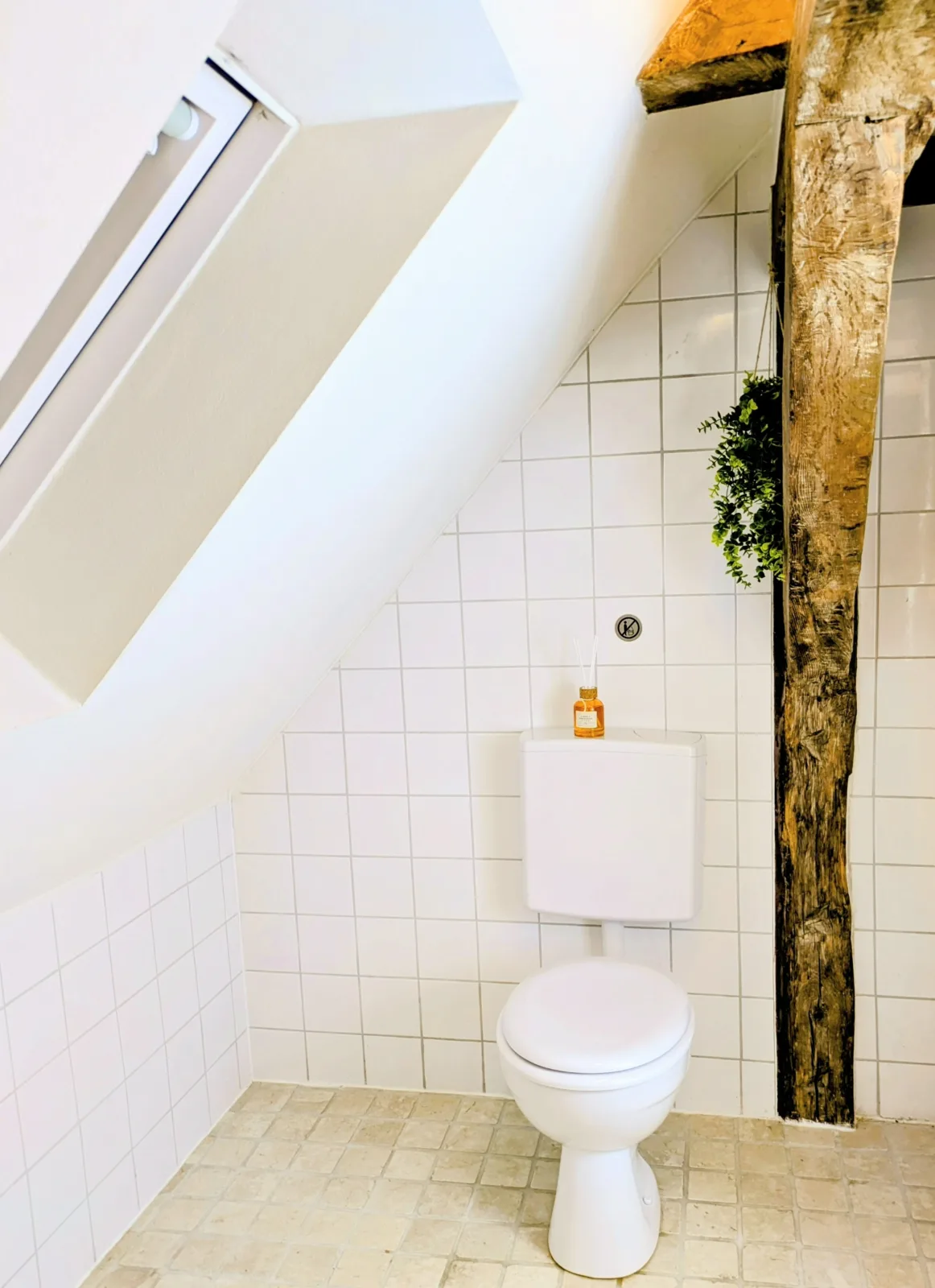 Ferienwohnung Kassel Traube bis 1 - 4 Pers.Parkplatz & Küche Modern