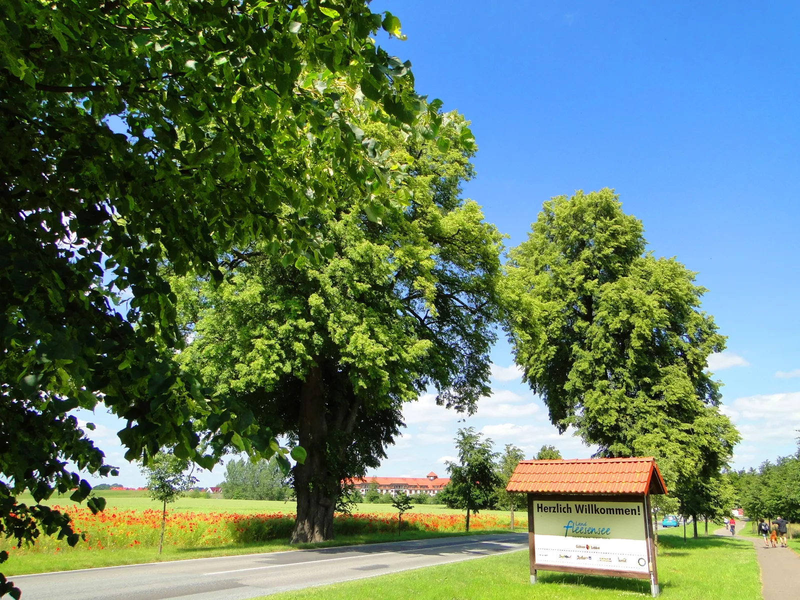 Casa Cavallo