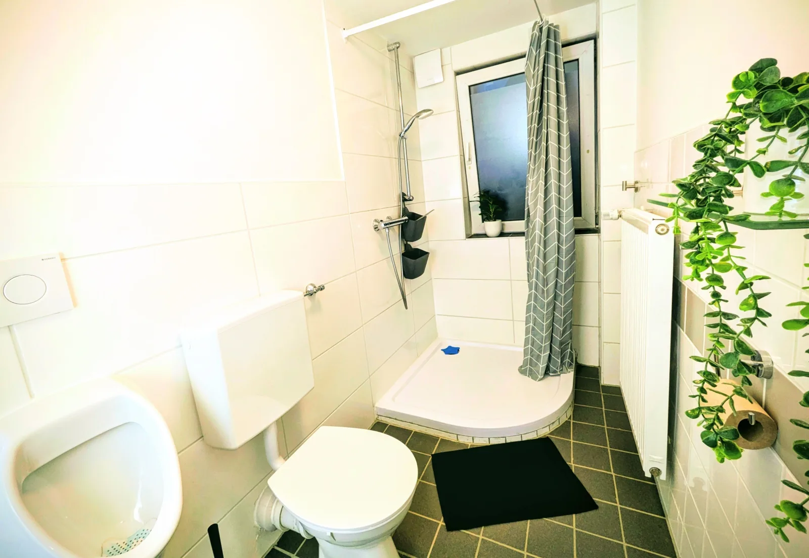 Ferienwohnung Kassel Kiwi Parkplatz Küche 1- 4 Personen EG Modern