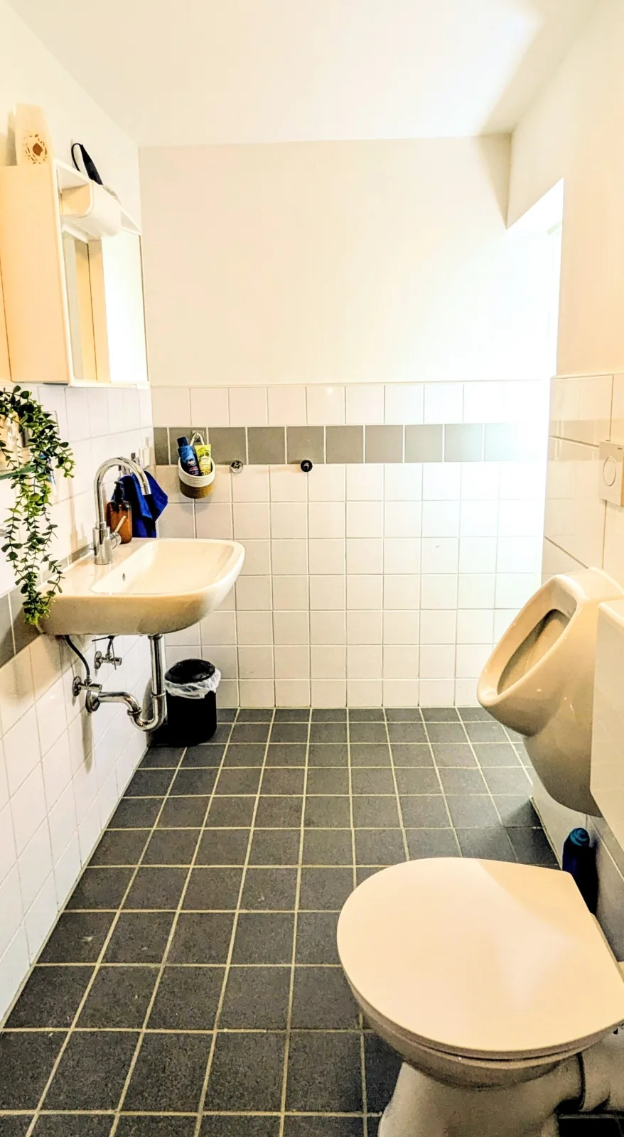 Ferienwohnung Kassel Kiwi Parkplatz Küche 1- 4 Personen EG Modern