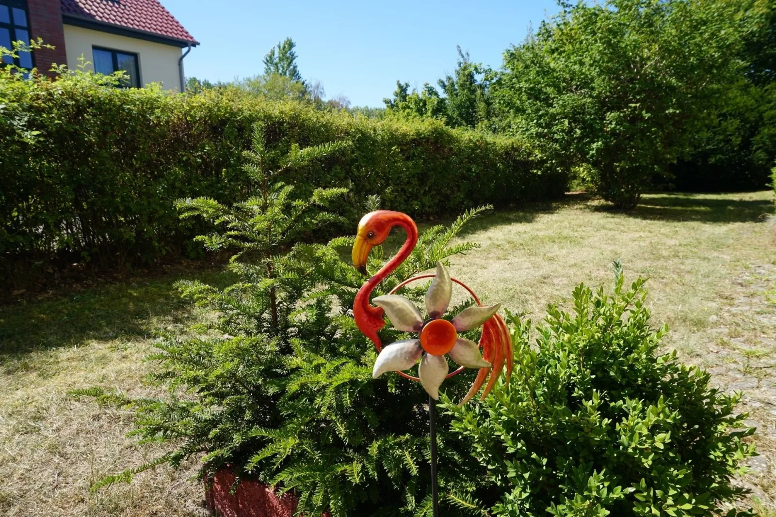 Meeresblüte