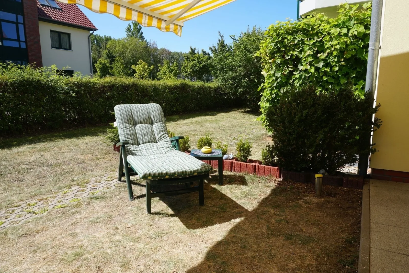 Meeresblüte