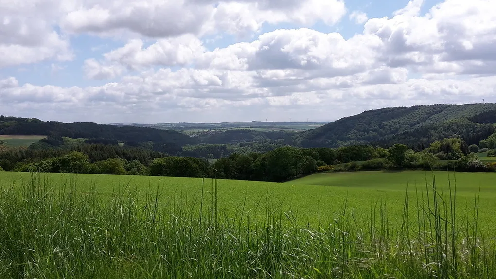 Ferienhaus Eifelurlaub - Landhaus am Stausee Bitburg