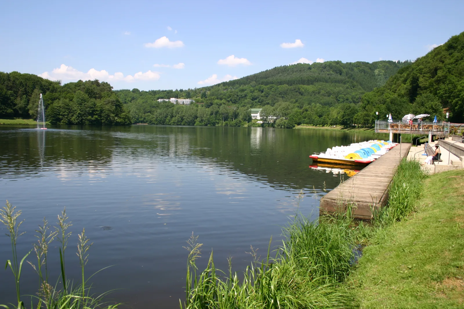 Ferienhaus Eifelurlaub - Landhaus am Stausee Bitburg