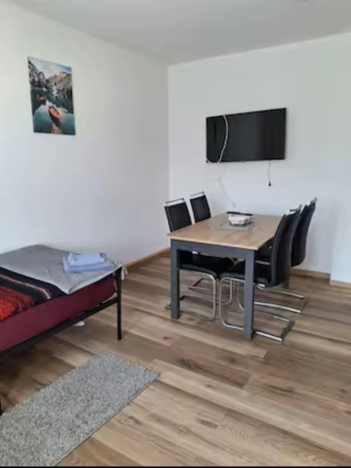 Schöne Vollausgestattete Monteurs- Gästewohnung nähe Raffinerie Leuna und Geiseltalsee / 0303