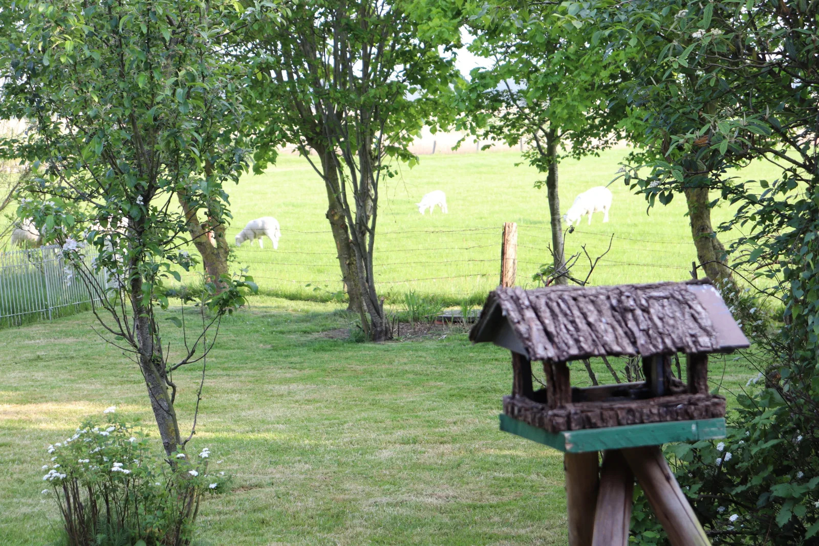 Nordstrand-Idyll 1