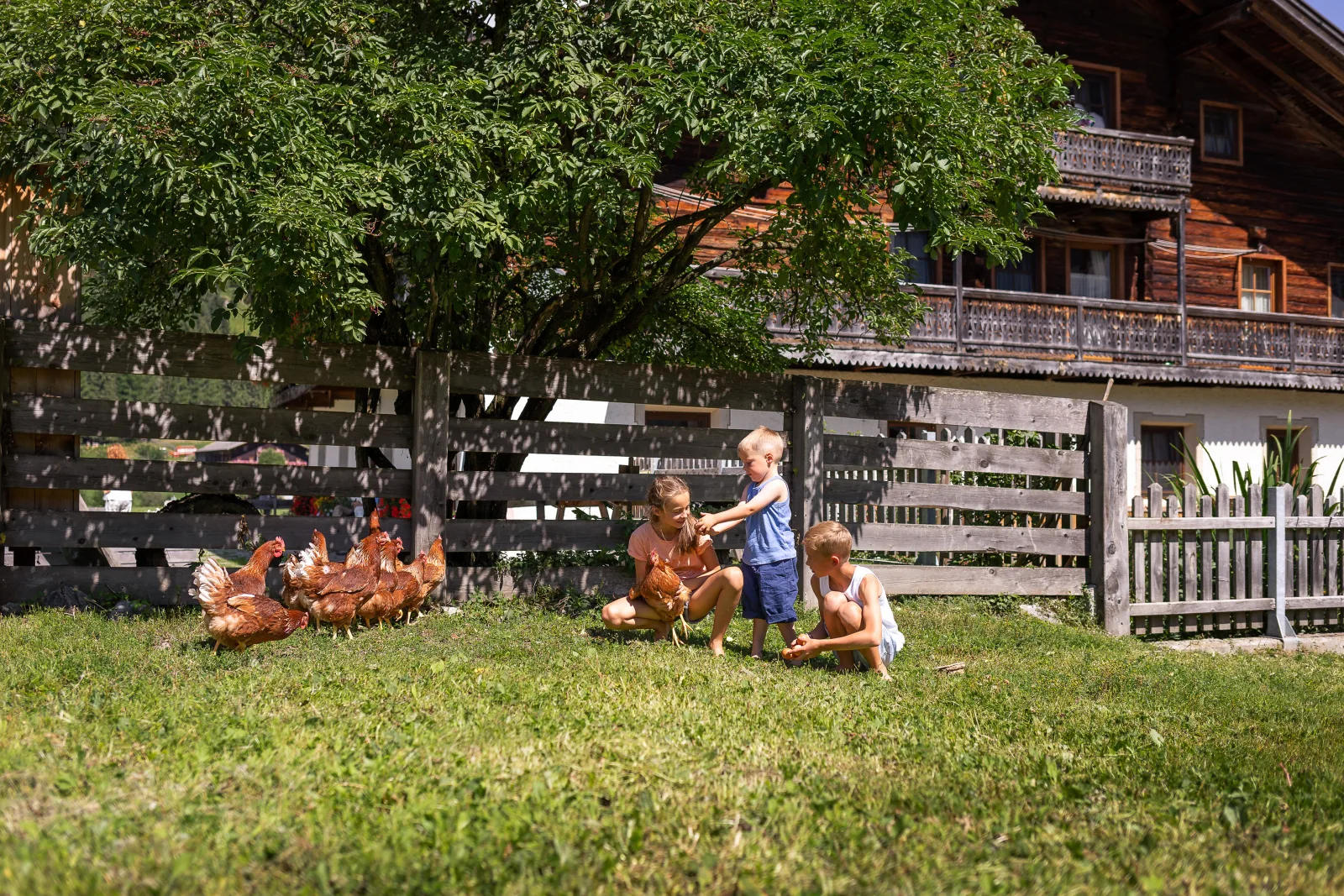 Großzügiges Mehrbettzimmer am Bauernhof mit Tieren, Sauna & Frühstück, Rustical