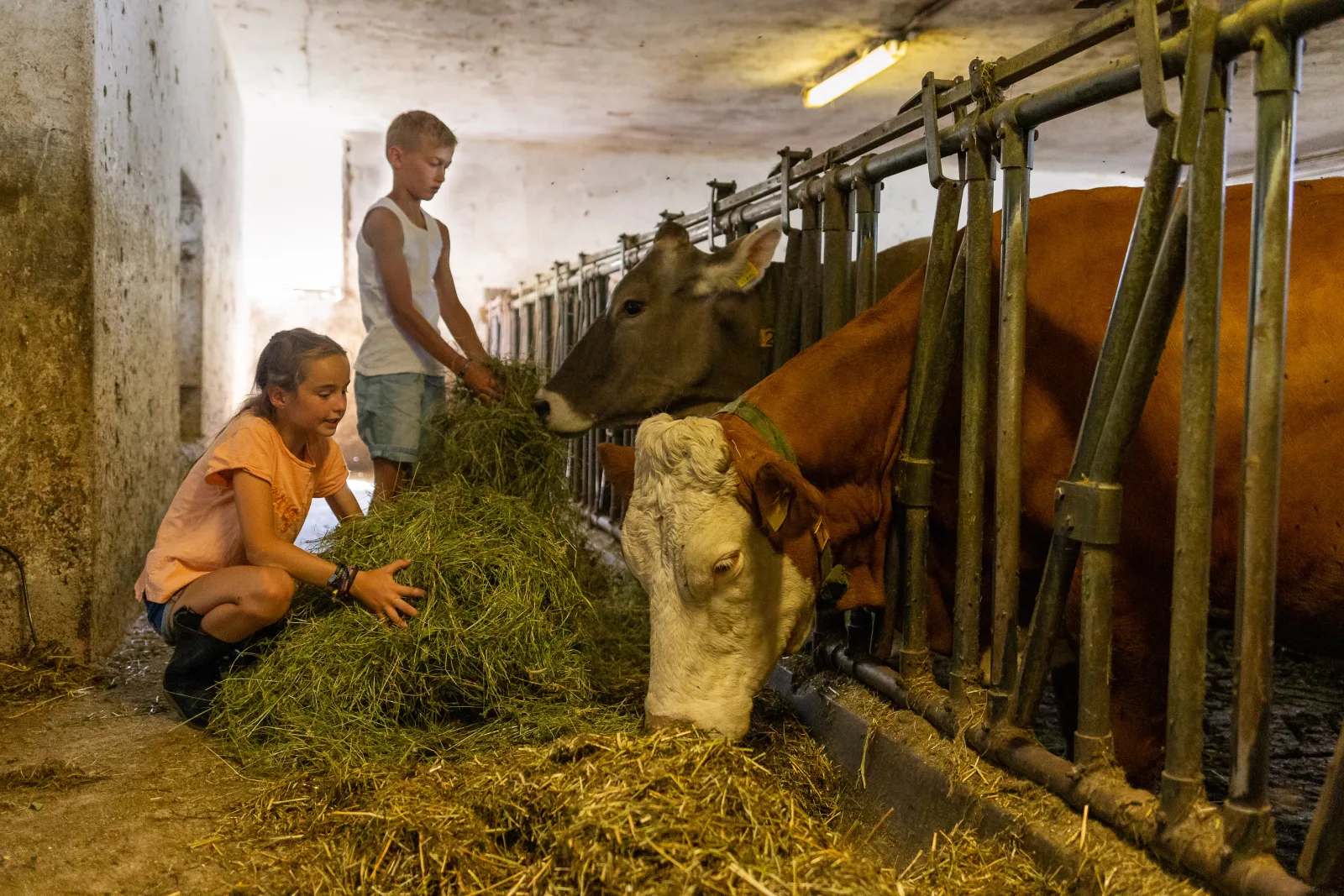 Großzügiges Mehrbettzimmer am Bauernhof mit Tieren, Sauna & Frühstück, Rustical