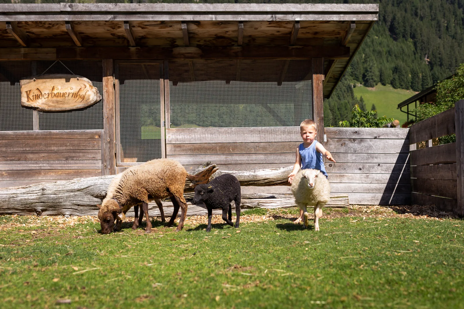 Familienfreundliches Mehrbettzimmer am Bauernhof mit Frühstück & Hoftieren, Zirm