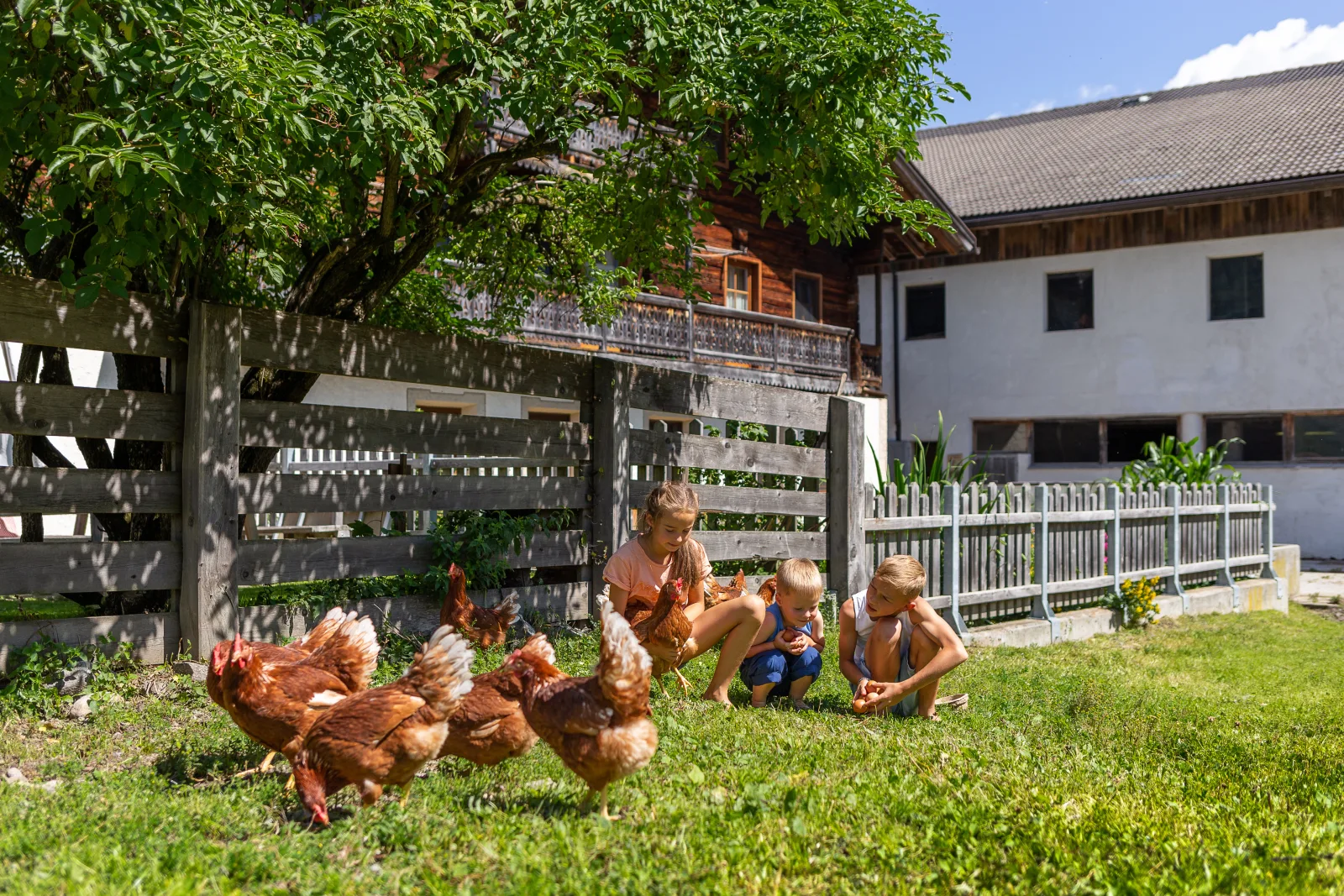 Familienfreundliches Mehrbettzimmer am Bauernhof mit Frühstück & Hoftieren, Zirm