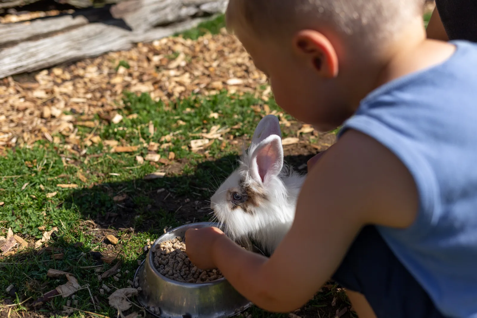 Familienfreundliches Mehrbettzimmer am Bauernhof mit Frühstück & Hoftieren, Zirm