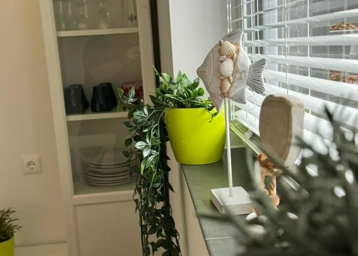 Gästewohnung Birkenblick