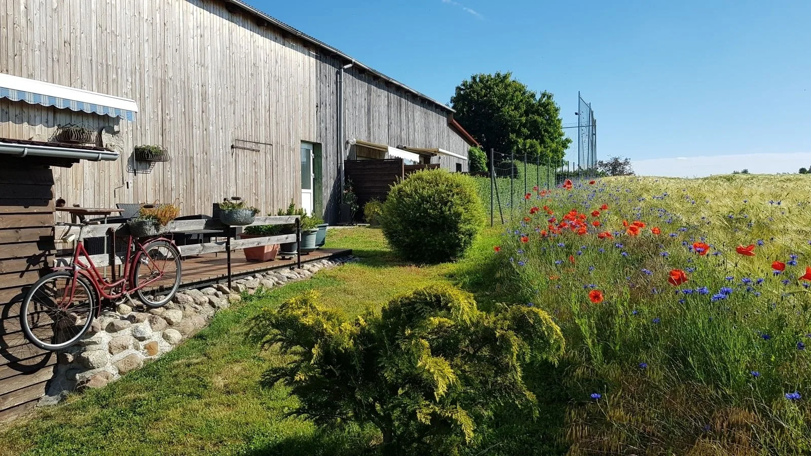 Pension zum Wiesengrund - Ferienwohnung
