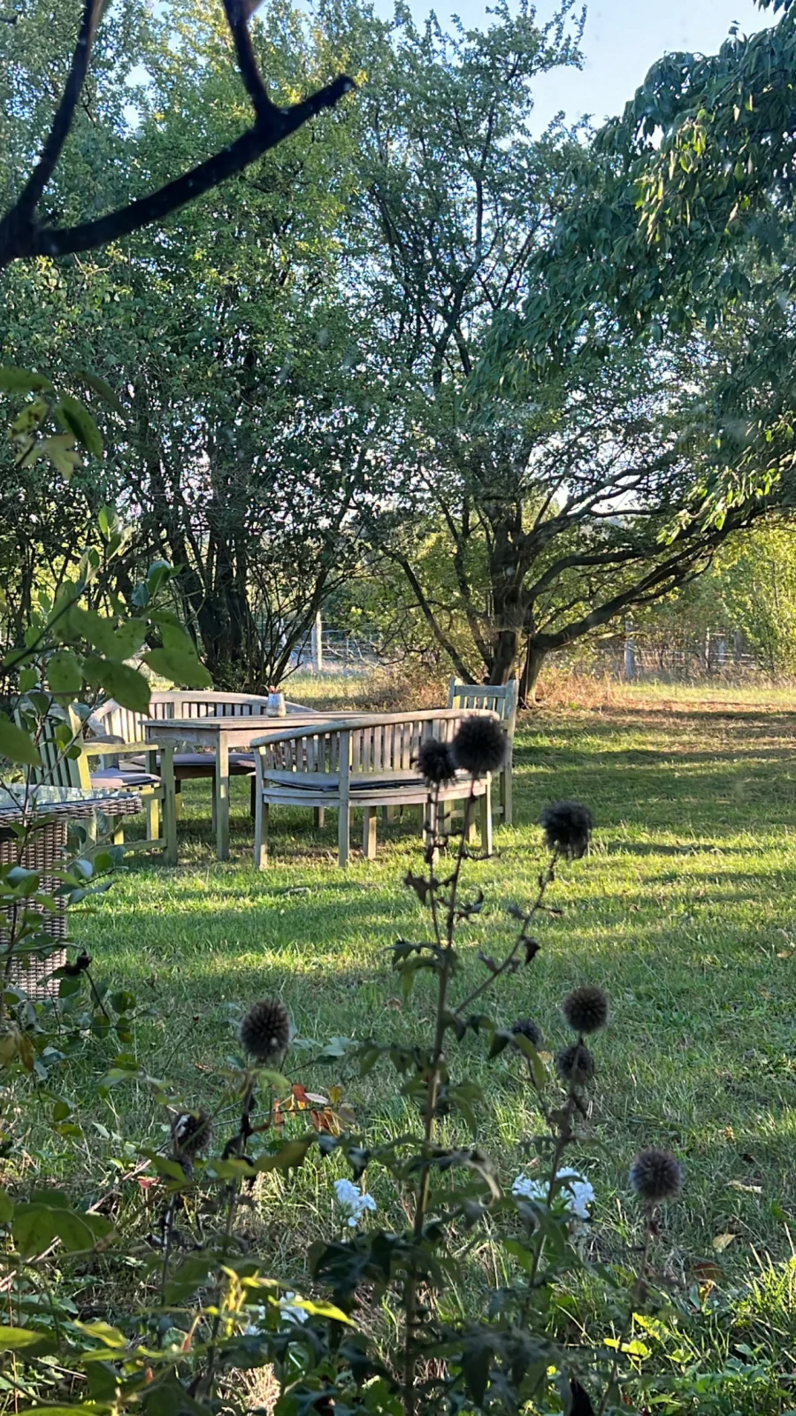 Alte Büdnerei  - "Gartenappartement"