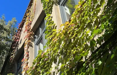 Alte Büdnerei  - "Gartenappartement"
