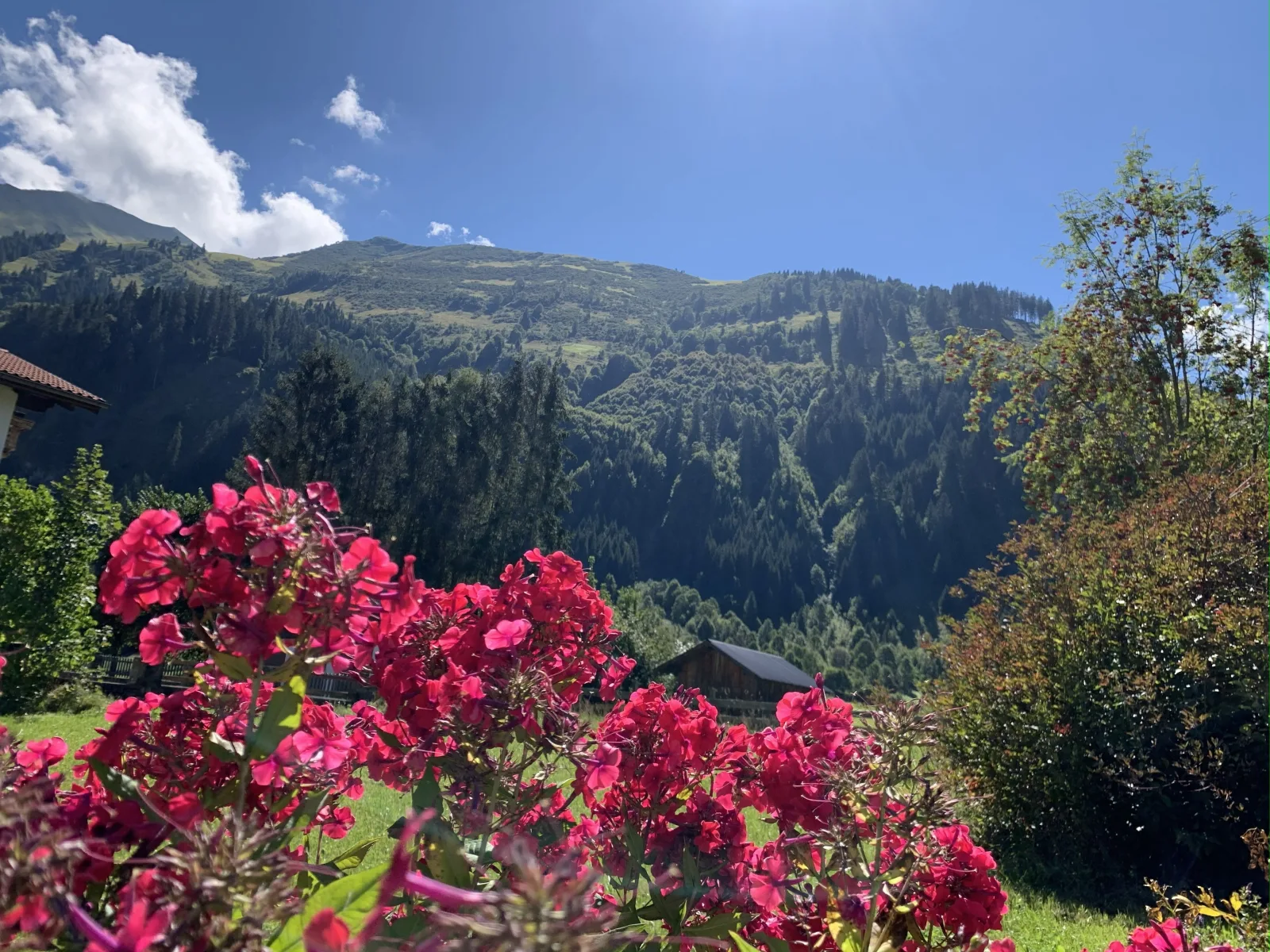 Chalet Villa Hera
