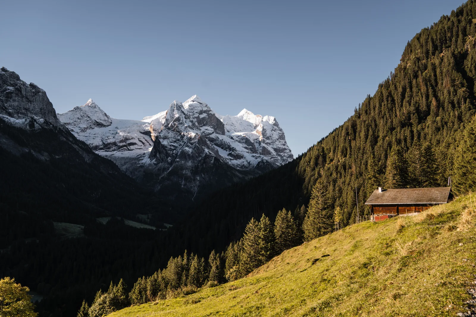 Chalet Bergzauber Ferienwohnung Engelhorn