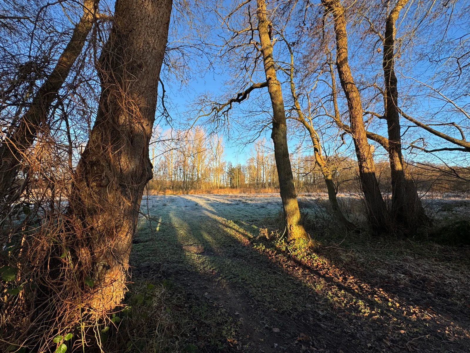 Waldweg 34
