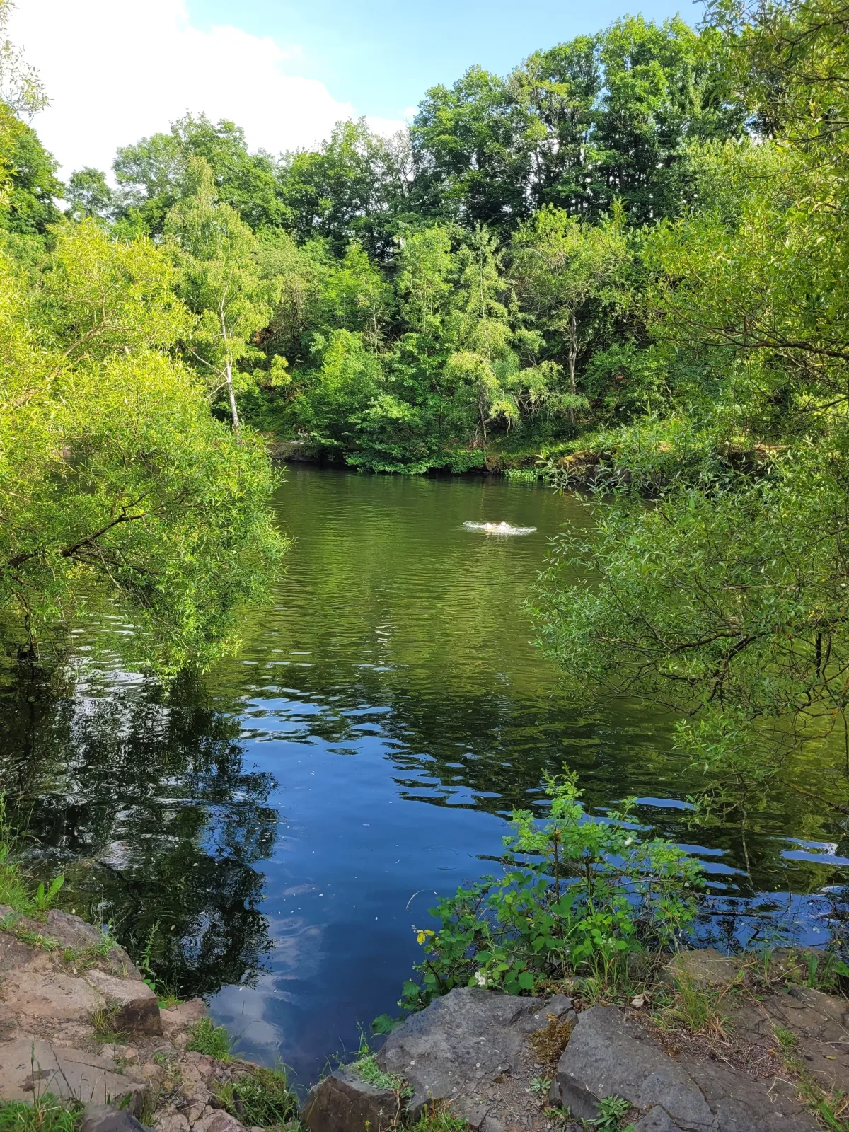 RELAX PUR in der NATUR I