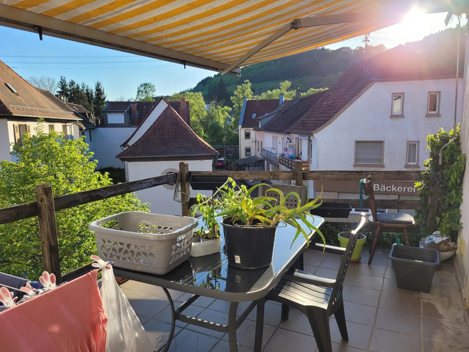 RELAX PUR in der NATUR II