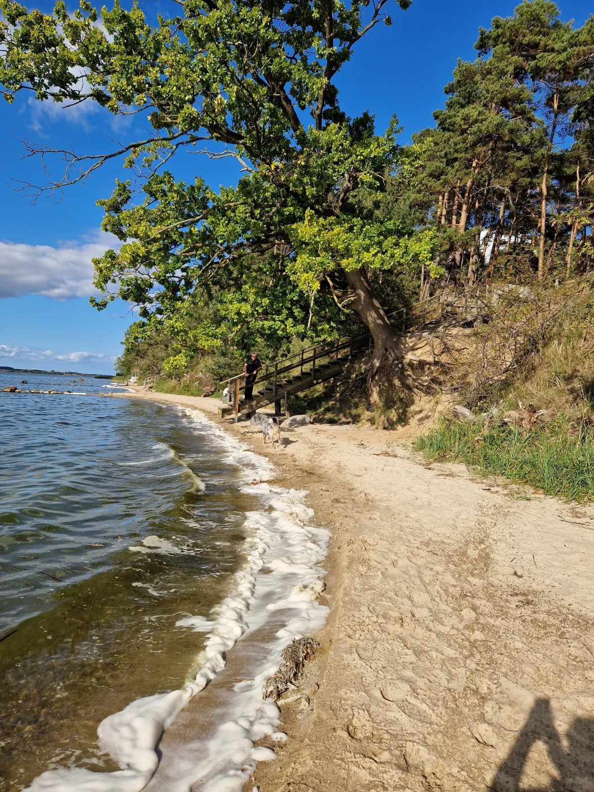 Ferienhaus Köhler am Walde, Urlaub mit Hund, Lütow