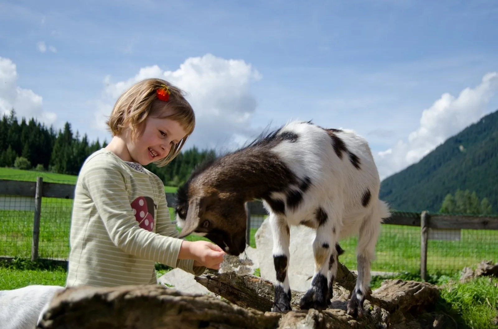 Familienurlaub am Bauernhof mit Tieren, Natur & Sauna, Alpin