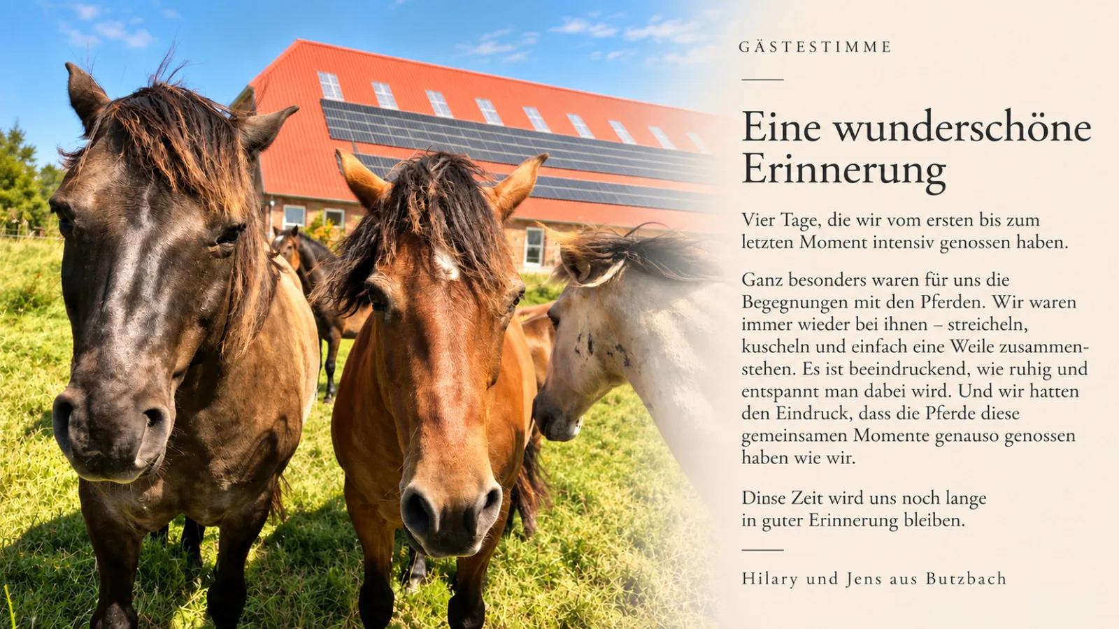 Sömmerland, Exklusive 4-Sterne-FeWo von 2024, Sonnenterrasse, 150 m zur Nordsee, eigener Zugang