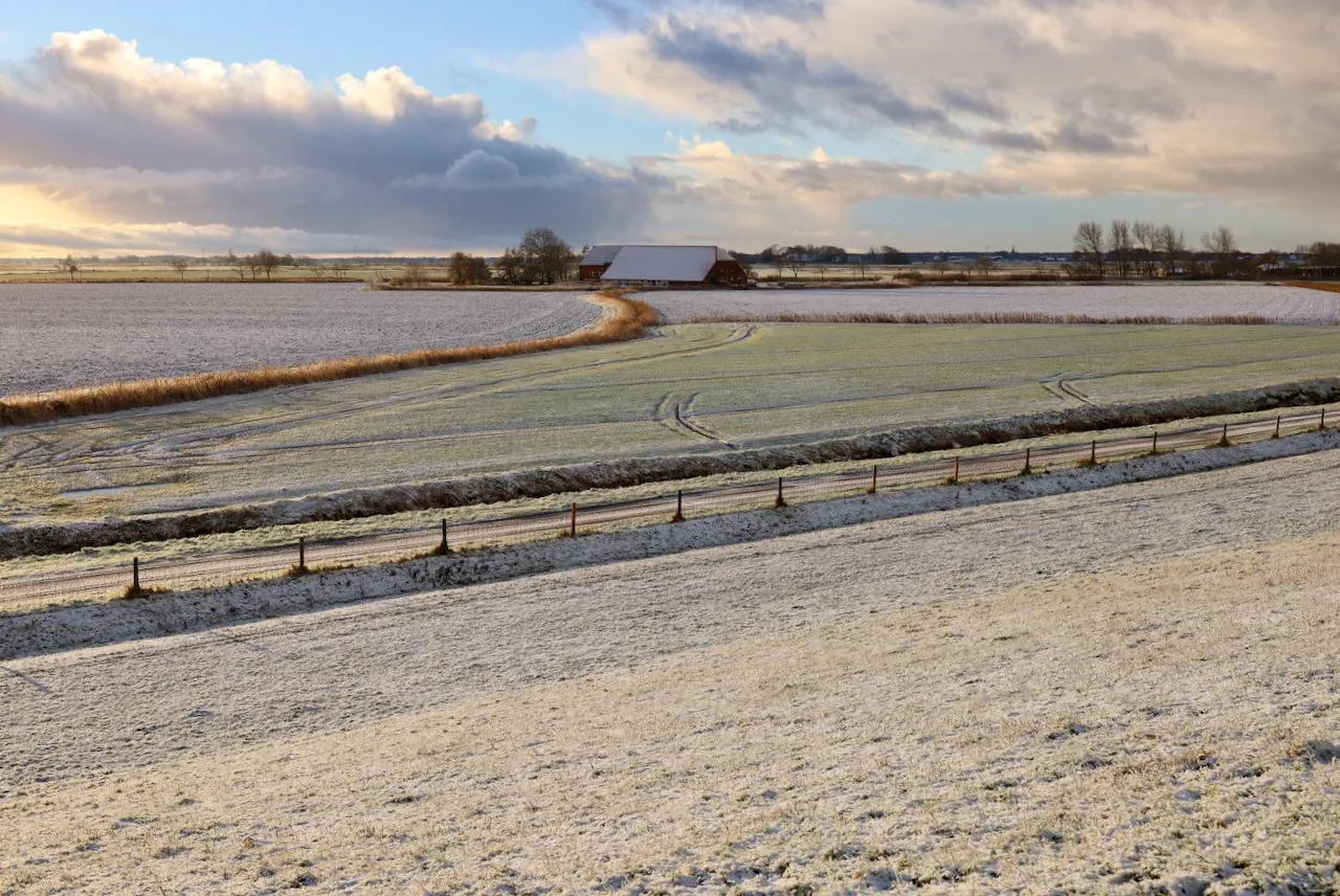 Sömmerland, Exklusive 4-Sterne-FeWo von 2024, Sonnenterrasse, 150 m zur Nordsee, eigener Zugang