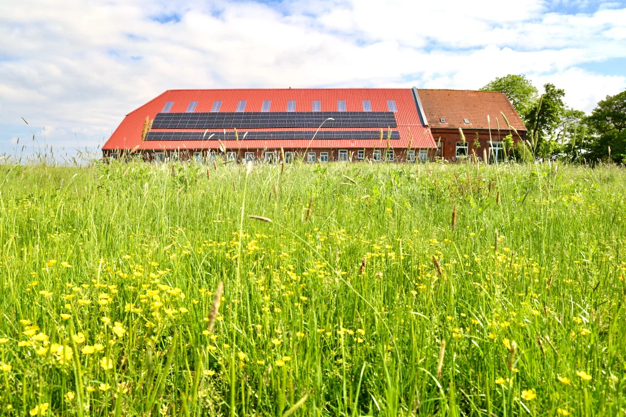 Sömmerland, Exklusive 4-Sterne-FeWo von 2024, Sonnenterrasse, 150 m zur Nordsee, eigener Zugang