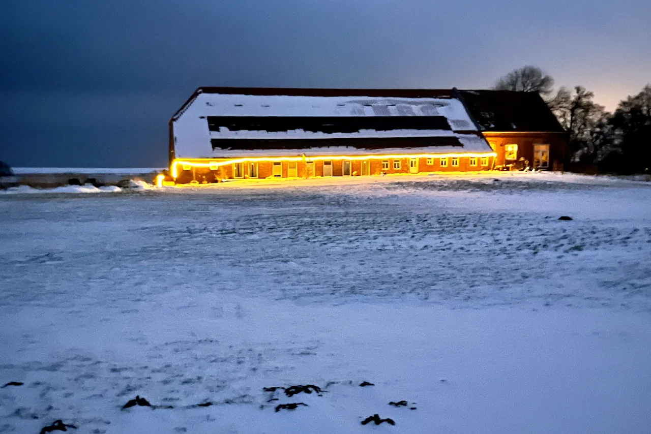Sömmerland, Exklusive 4-Sterne-FeWo von 2024, Sonnenterrasse, 150 m zur Nordsee, eigener Zugang